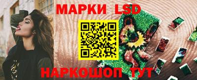 стаф Кандалакша