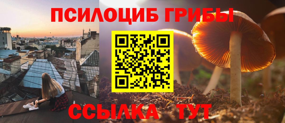 Псилоцибиновые грибы Magic Shrooms  Вход с VPN  Щёлково  наркошоп  Галлюциногенные грибы MAGIC MUSHROOMS 